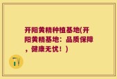 开阳黄精种植基地(开阳黄精基地：品质保障，健康无忧！)
