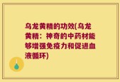 乌龙黄精的功效(乌龙黄精：神奇的中药材能够增强免疫力和促进血液循环)