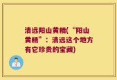 清远阳山黄精(“阳山黄精”：清远这个地方有它珍贵的宝藏)