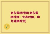 启东黄精种植(启东黄精种植：生态种植，助力健康养生)