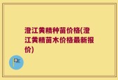 澄江黄精种苗价格(澄江黄精苗木价格最新报价)