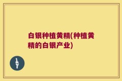白银种植黄精(种植黄精的白银产业)