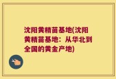 沈阳黄精苗基地(沈阳黄精苗基地：从华北到全国的黄金产地)