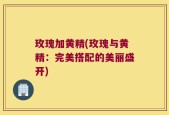 玫瑰加黄精(玫瑰与黄精：完美搭配的美丽盛开)