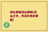 湖北恩施深山黄精(深山之中，寻觅珍贵的黄精)
