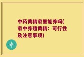 中药黄精家里能养吗(家中养殖黄精：可行性及注意事项)