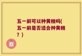 五一前可以种黄精吗(五一前是否适合种黄精？)