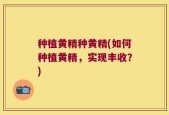 种植黄精种黄精(如何种植黄精，实现丰收？)