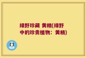 绿野珍藏 黄精(绿野中的珍贵植物：黄精)