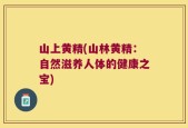 山上黄精(山林黄精：自然滋养人体的健康之宝)
