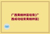 广西黄精种苗培育(广西成功培育黄精种苗)