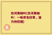 热河黄精叶(热河黄精叶：一味养生好草，潜力待挖掘)