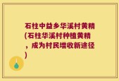 石柱中益乡华溪村黄精(石柱华溪村种植黄精，成为村民增收新途径)