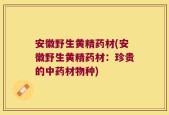安徽野生黄精药材(安徽野生黄精药材：珍贵的中药材物种)