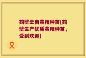 鹤壁云南黄精种苗(鹤壁生产优质黄精种苗，受到欢迎)
