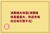滇黄精大块茎(滇黄精块茎重量大，熟近市场价达每斤数千元)
