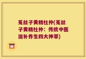 菟丝子黄精杜仲(菟丝子黄精杜仲：传统中医滋补养生四大神草)