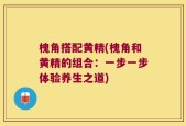 槐角搭配黄精(槐角和黄精的组合：一步一步体验养生之道)