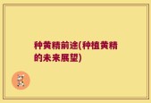 种黄精前途(种植黄精的未来展望)
