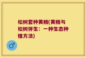 松树套种黄精(黄精与松树伴生：一种生态种植方法)