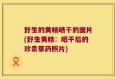 野生的黄精晒干的图片(野生黄精：晒干后的珍贵草药照片)
