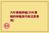 六叶黄精种植(六叶黄精的种植技巧和注意事项)