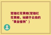 楚雄红花黄精(楚雄红花黄精，秘藏于云南的“黄金植物”)