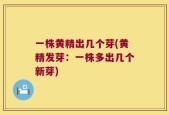 一株黄精出几个芽(黄精发芽：一株多出几个新芽)