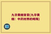 九华黄精背景(九华黄精：中药材界的明珠)