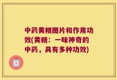 中药黄精图片和作用功效(黄精：一味神奇的中药，具有多种功效)