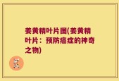 姜黄精叶片图(姜黄精叶片：预防癌症的神奇之物)