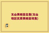 文山黄精苗出售(文山地区优质黄精苗现售)
