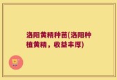 洛阳黄精种苗(洛阳种植黄精，收益丰厚)