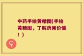 中药手绘黄精图(手绘黄精图，了解药用价值！)