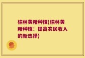 榆林黄精种植(榆林黄精种植：提高农民收入的新选择)