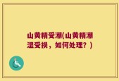 山黄精受潮(山黄精潮湿受损，如何处理？)