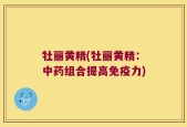 牡丽黄精(牡丽黄精：中药组合提高免疫力)