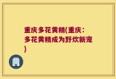 重庆多花黄精(重庆：多花黄精成为野炊新宠)
