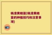 杨凌黄精苗(杨凌黄精苗的种植技巧和注意事项)