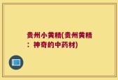 贵州小黄精(贵州黄精：神奇的中药材)