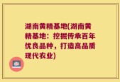 湖南黄精基地(湖南黄精基地：挖掘传承百年优良品种，打造高品质现代农业)