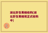 湖北野生黄精收购(湖北野生黄精现正式收购中)