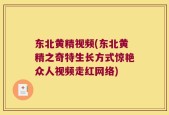 东北黄精视频(东北黄精之奇特生长方式惊艳众人视频走红网络)