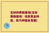 玉林种黄精基地(玉林黄精基地：培育黄金种苗，助力种植业发展)