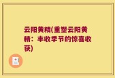 云阳黄精(重塑云阳黄精：丰收季节的惊喜收获)