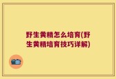 野生黄精怎么培育(野生黄精培育技巧详解)