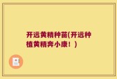 开远黄精种苗(开远种植黄精奔小康！)