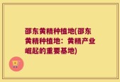 邵东黄精种植地(邵东黄精种植地：黄精产业崛起的重要基地)