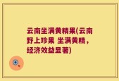 云南坐满黄精果(云南野上珍果 坐满黄精，经济效益显著)