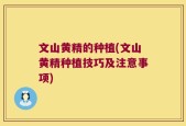 文山黄精的种植(文山黄精种植技巧及注意事项)